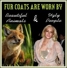 Pin On Animal Rights