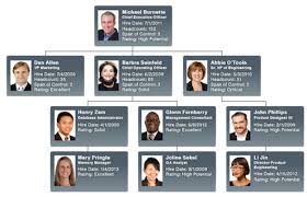 Orgchart Platinum Org Chart Workforce Planning