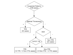 diagnostic flow chart applying medical thoracoscopy ada and