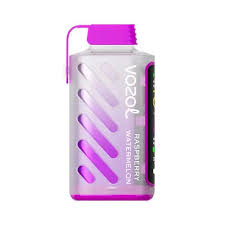 VOZOL DISP GEAR 9000 PUFFS 5CT - RASPBERRY WATERMELON