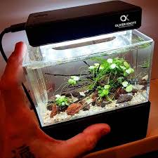 Mini Complete Tank Mini Aquarium Aquarium Fish Tank Accessories