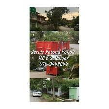 Contextual translation of cantas ranting pokok tumbang into english. Servis Potong Pokok Kl Selangor Services Others On Carousell