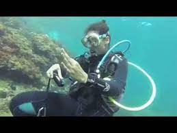 Mot de passe oublié ? Plongee Sous Marine Algerie Youtube