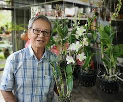 What restaurants are near united malaysian orchids sdn bhd? My Misadventure In Planting Dendrobium Orchids To Export Cut Flowers Kyy