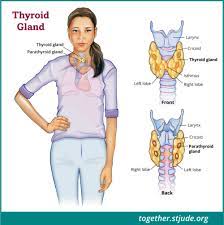 Bone pain and broken bones. Differentiated Thyroid Cancer In Children And Teens Together
