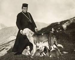 Life expectancy of a saint bernard is about 8 to 10 years which is similar to that of any other giant breed. St Bernards At Their Home Kennels In Switzerland 1913 Natural History