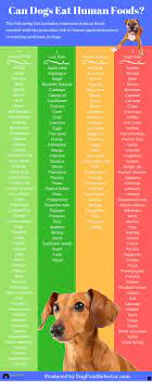 Read More About Puppy Dog Please Click Here To Read More Viewing The Website Is Worth Your Time Human Food For Dogs Healthy Dogs Dog Infographic