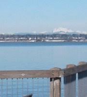 Tips for the bellingham, wa area. The Boardwalk From The Park To Fairhaven Picture Of Boulevard Park Bellingham Tripadvisor