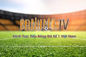 Lịch thi đấu trực tiếp phát sóng các trận cầu bóng đá được cập nhật liên tục và tối thiểu trước khi trận đấu diễn ra 12 tiếng. Banhmi Tv Trá»±c Tiáº¿p Bong Ä'a Home Facebook