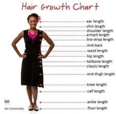 Hair Growth Chart What Is Your Desired Length Hair