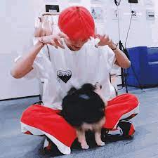 Two swag doggos (yeontan & min holly) sticker. Taehyung Yeontan Gif Taehyung Yeontan Bts Discover Share Gifs