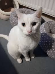 Guys!! Dually-Dude here!! You need to sit down for this one... Crazy Pants  Mom got shot 33 times yesterday and if her marbles weren't already gone,  she would have officially lost them...