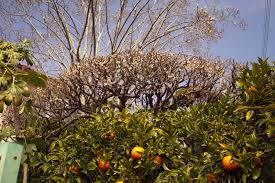 Results tagged “エクトラ” from 新地のドゥルーズ