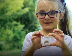 ANNUAL REPORT 2017-2018