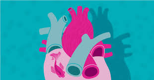 We did not find results for: Facts And Statistics About Atrial Fibrillation