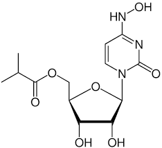 Molnupiravir is an antiviral drug which is administered orally and it is developed by biotech firm ridgeback biotherapeutics along with pharma a new drug called molnupiravir has shown that it can stop the transmission of the novel coronavirus in 24 hours, according to a research conducted by. Molnupiravir Wikipedia