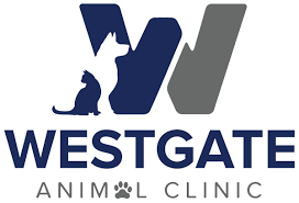 Westgate pet clinic | quality medicine, dentistry and surgery for your pet. Veterinarian In Omaha Ne Exceptional Vet Care Local Animal Hospital