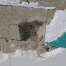 Plan de pose, préparation du mur, pose des carreaux et découpes, réalisation des joints… les différentes opérations demandent des connaissances et une certaine habileté manuelle. Enlever Du Carrelage Mural Sur Platre 22 Messages