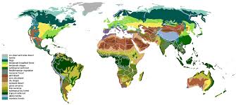 A Biome Is A World Scale Ecosystem The World Is Divided Into Several Biomes Biomes Atmospheric Circulation Ecosystems