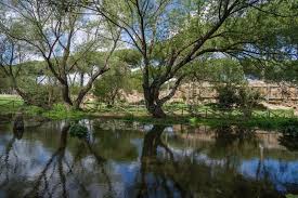 Tuscolano Stock Photos