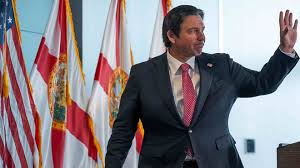 Florida DOGE Auditors