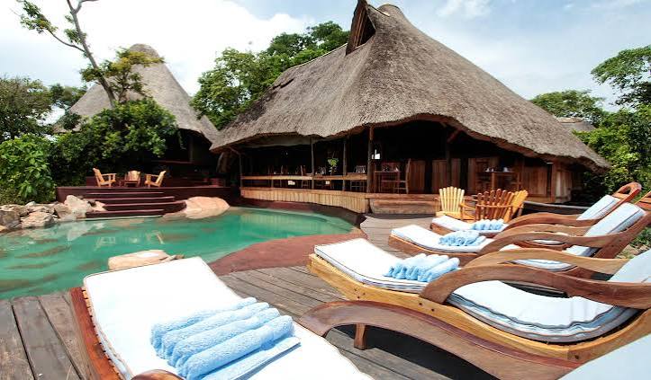 Eco-Lodges for Gorilla Trekking in Uganda | Sustainable Safari