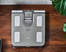 body composition scale