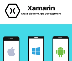 Pin On Xamarin App Development