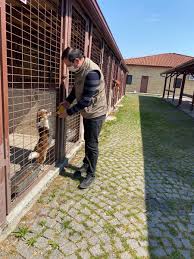 kocaeli dkmp on twitter barinak denetimlerimiz devam ediyor bugun sube mudurlugumuz ekiplerince kocaeli buyuksehir belediyesi kandira sokak hayvanlari gecici bakimevi ve rehabilitasyon merkezi ile gebze gecici bakimevi denetlendi https t co