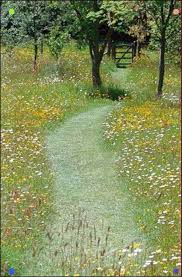 Wildflower Border At Front For Low Maintenance Color Drainage And Nature Border Color Drainage Front Mai In 2020 Mit Bildern Garten Wildblumenwiese Garten Landschaftsbau