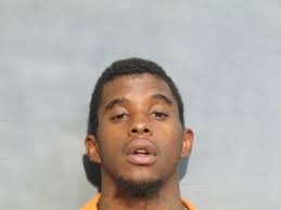 Houston County Arrests Aug. 23-29, 2018