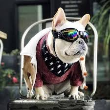 可愛い 犬サングラス おしゃれ カッコイイ ゴーグル 犬用サングラス お出かけ用 紫外線対策 可愛い犬 可愛い 動物 犬 サングラス
