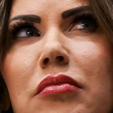 Chicken escaped from coop, found and eaten