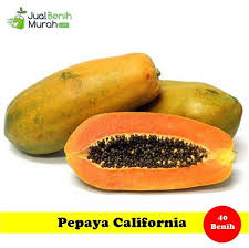 Benih Pepaya California Benih Tanaman Buah Pepaya Unggul Dengan Bentuk Buah Mungil Daging Tebal Kenyal Rasa Manis Dan Sangat Baik Untuk Pepaya Buah Benih