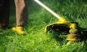 Hiring professional lawn care services can make you extremely relieved or incredibly frustrated. Services Bo S Lawn Care Groupon