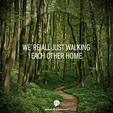 Sharon saltzberg is the cofounder of the insight. Quotes We Hurt Each Other Quotesgram