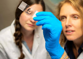 Culture, arts and sciences