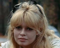 Juvenile sea lion shot and killed at Aramaona