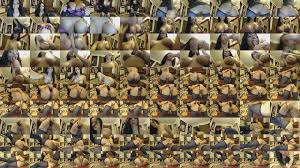 Exoticbunch.com hola18 live camgirl puts on show - XNXX.COM