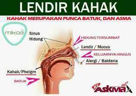 Jumlah darah tersebut tidak begitu banyak namun ia. Apakah Yang Askma Oil Penawar Batuk Berkahak Dan Selsema ÙÙŠØ³Ø¨ÙˆÙƒ