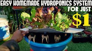 Market growers should be aware that diy systems are more risky in the youtube user growace shows you how to build a window hydroponic garden using simple tools from the hardware store in this clear, comprehensive. Cheapest Hydroponic System For Everyone Under 1 100 Rs Youtube