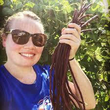 CHINESE VEGETABLE SEEDS