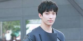 Lee seokmin (이석민) · nicknames: Picture Of Dk Seventeen