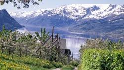 Check spelling or type a new query. Skule Rubbestadneset Bomlo Bedrifter Gulesider No