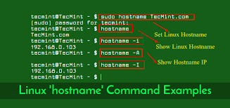 Here's how to find your computer's local ip address in windows vista: 5 Hostname Command Examples For Linux Newbies