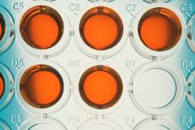 You Can Soon Get Your Dna Sequenced Anonymously Wired