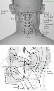 G B 20 Wind Pool Fengchi Acupuncture Points 1 Jpg 487 819 Acupuncturepoints Acupunctureuses Acupressure Treatment Acupuncture Acupressure