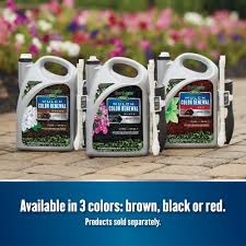 Earthgro 1 Gal Earthgro By Scotts Red Mulch Color Renewal 140100405 The Home Depot Mulch Florida Gardening Landscaping Tips