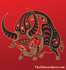 Chinese new year begins on the date (in china) of the second new moon after the winter solstice, which takes place in in 2021, we ring in the year of the ox, one of 12 animals in the chinese zodiac. Chinese Zodiac Ox Traits Personality The Chinese Quest