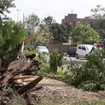killed thunderstorms across Jharkhand, Bihar;